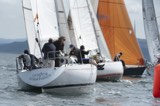 white lightning gbr4327 mayrise gbr8856y whyw24 thur 750 9718